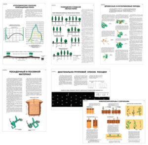 Плакаты Полезащитные лесные полосы, 700х1000 мм