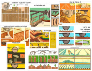 Плакаты Основы агрономии, 700х1000 мм