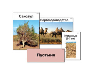 Модель-аппликация Природные зоны России (ламинированная)
