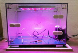 Детская биолаборатория Умная грядка