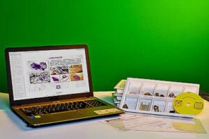 Коллекция натурально-интерактивная Кварц в природе