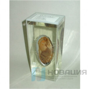 Влажный препарат Беззубка