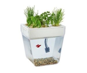 Набор для уголка природы Акваферма