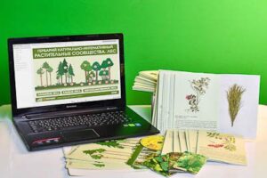 Гербарий натурально-интерактивный Растительные сообщества. Лес