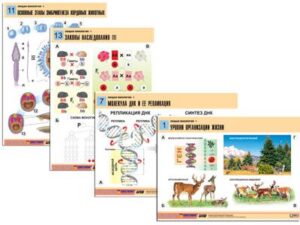 Комплект таблиц по биологии Общая биология 1