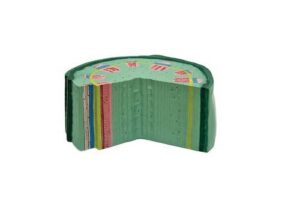 Модель Стебель растения