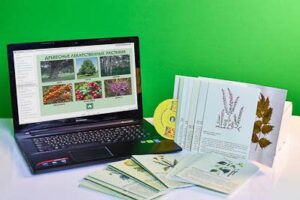 Гербарий натурально-интерактивный Лекарственные растения