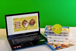 Коллекция натурально-интерактивная Раковины моллюсков