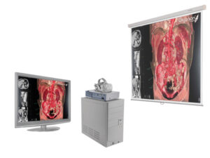 Виртуальный учебный комплекс Анатомический атлас