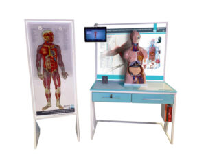 Трехмерный анатомический атлас