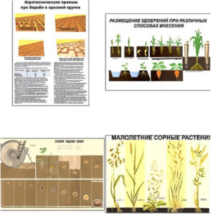 Плакаты Агрономия, 5 штук