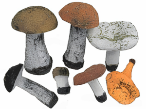 Набор муляжей грибов